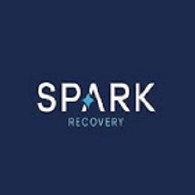 Spark  Recovery
