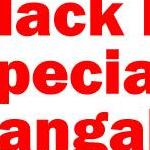 Astrologerservice