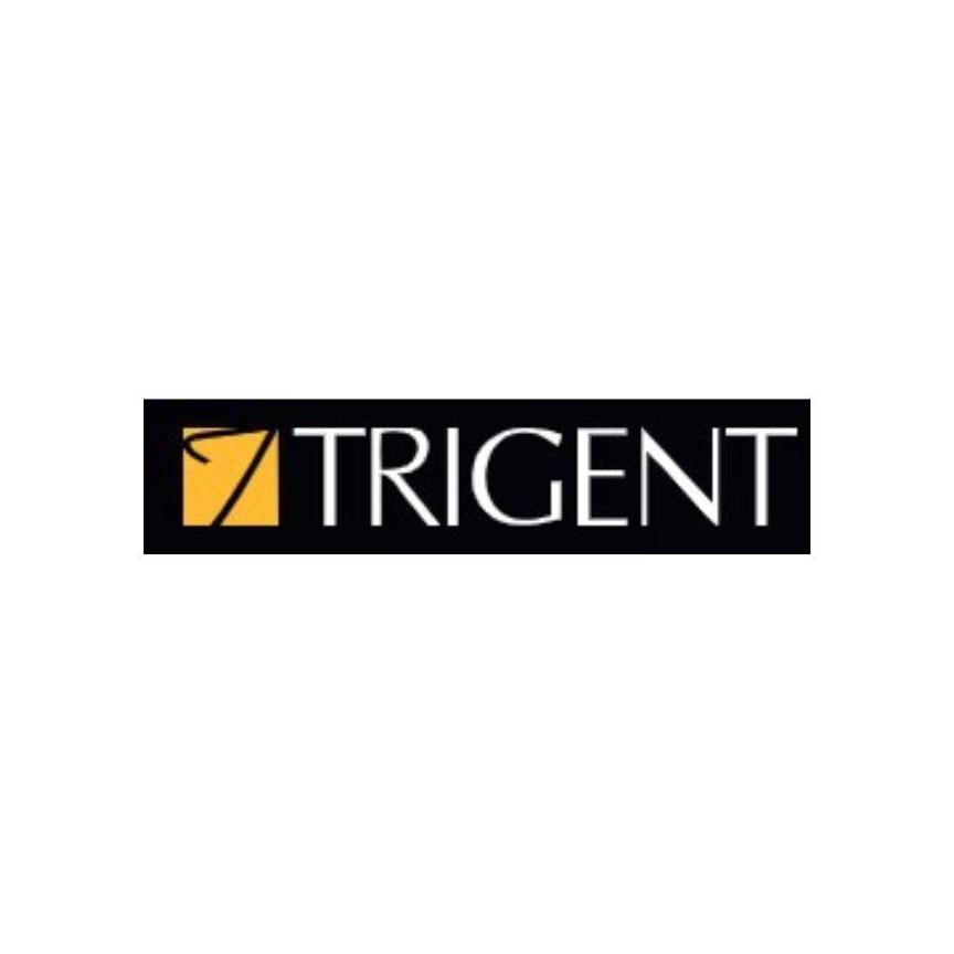 Trigent Software