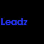 SEO Consultant