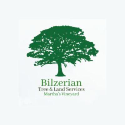 Bilzeriantree