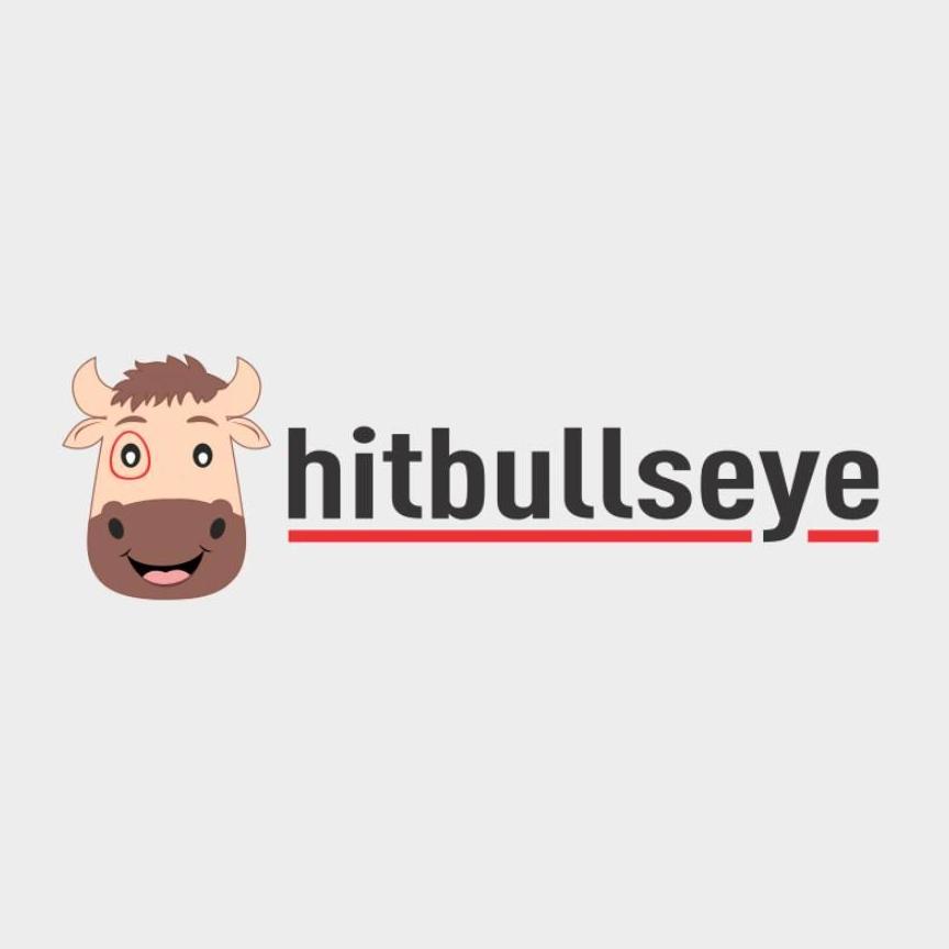 hitbullseye_info