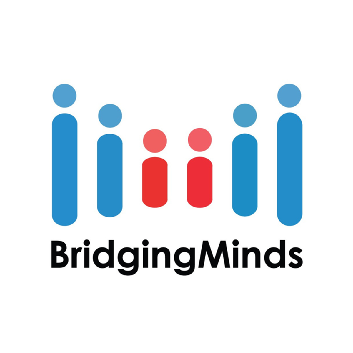 bridgingmindsnetwork