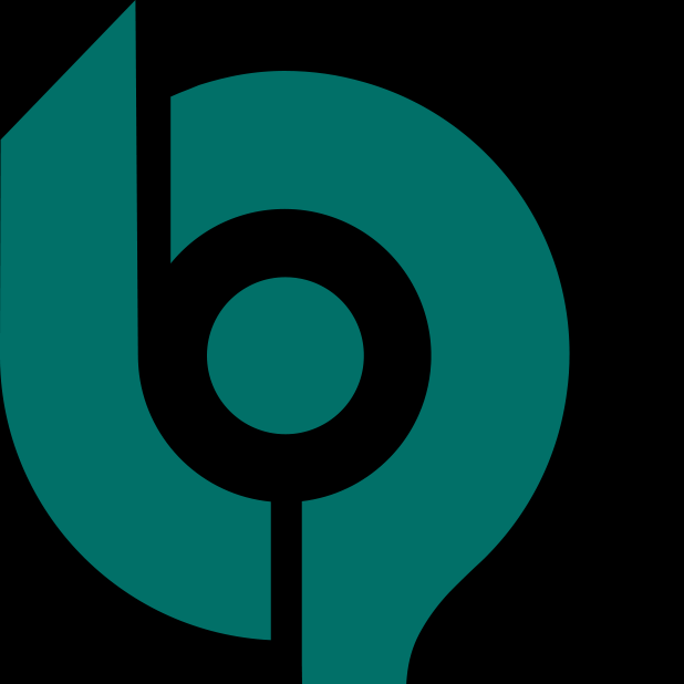 Bloompakistan Seo