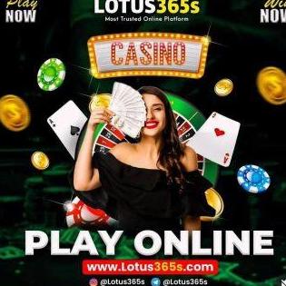 Lotus365 India