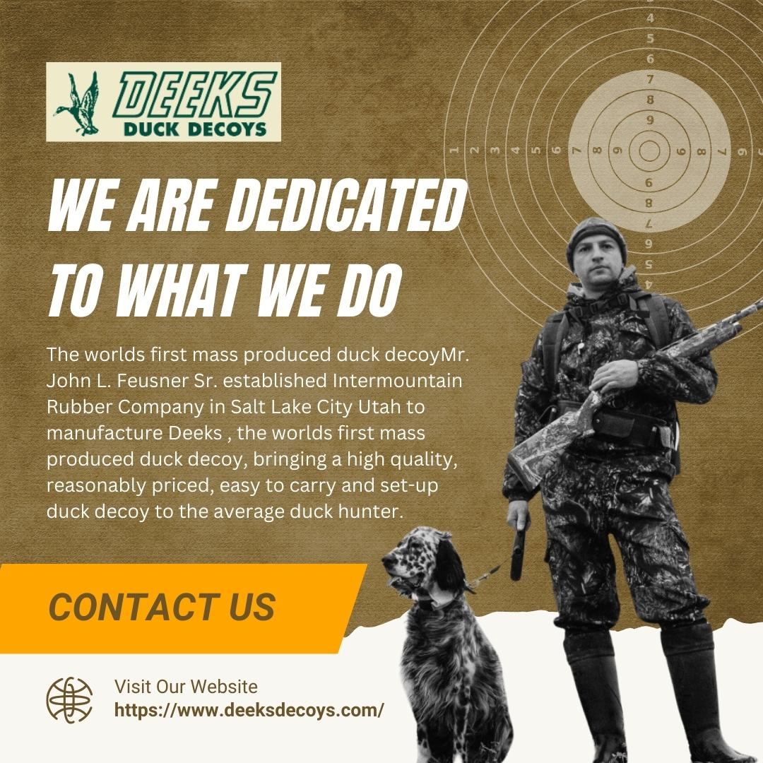 Sngine 6cee44e011521dba97fbe1d28b0ee5a6