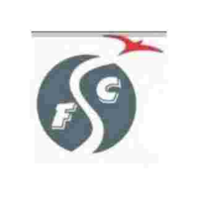 Flysky Consultancy