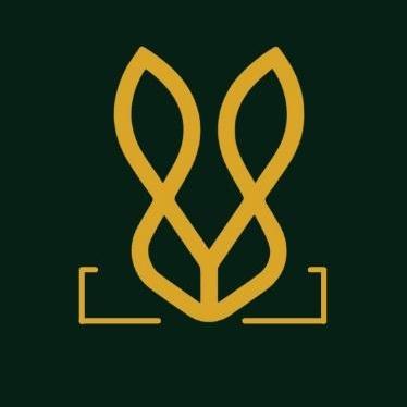 Boldbunny Shoe