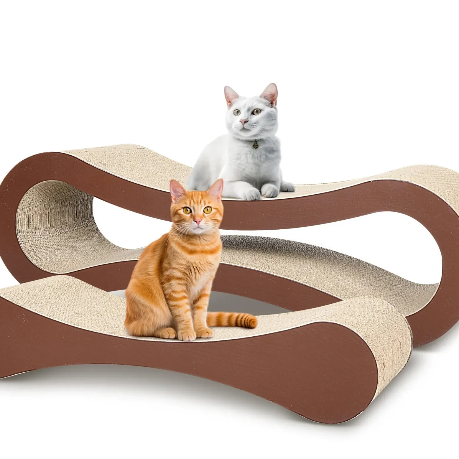 catpostscratcher
