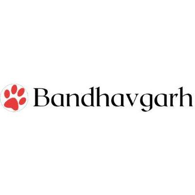 Tiger Safari Bandhavgarh