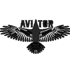 Aviator  Coats