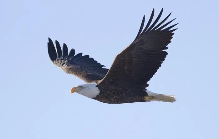 Sngine 0681be12fec1d29fd8b5e53a61ff7410