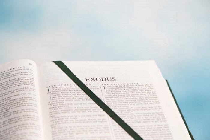 Sngine 091dd09bf7ce351a881d4504371d606a