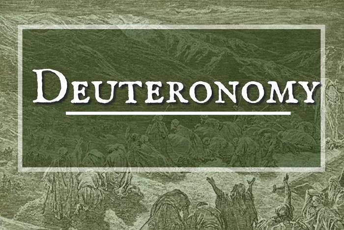 Sngine 1121991759255c6e183aae1d22e93121