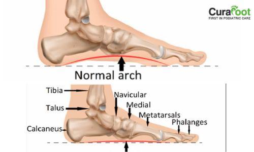 Sngine 14a7f876d21e0a312df67d67b2251232