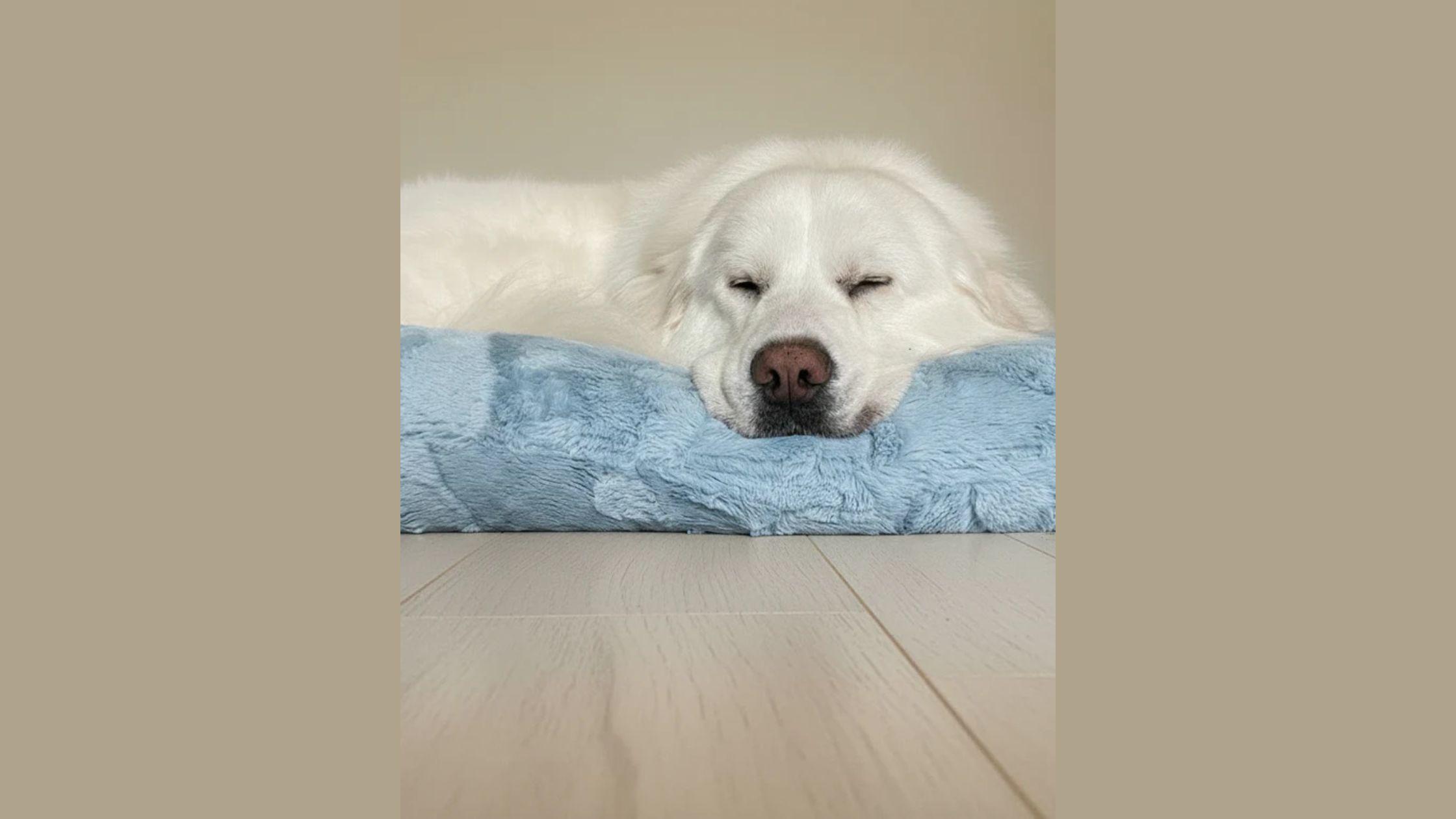 Sngine 1a76379a0109b1e845bf3af28cd6f3a6