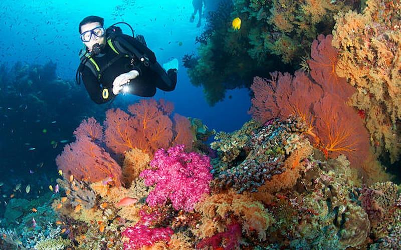 Sngine 1b6e3f5ac4b6e845be235c4ff8571a59