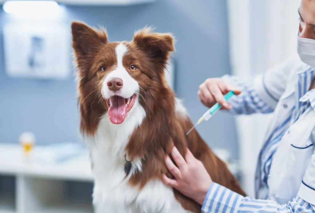 Sngine 26952feab5788c452dd6a8747674a40a