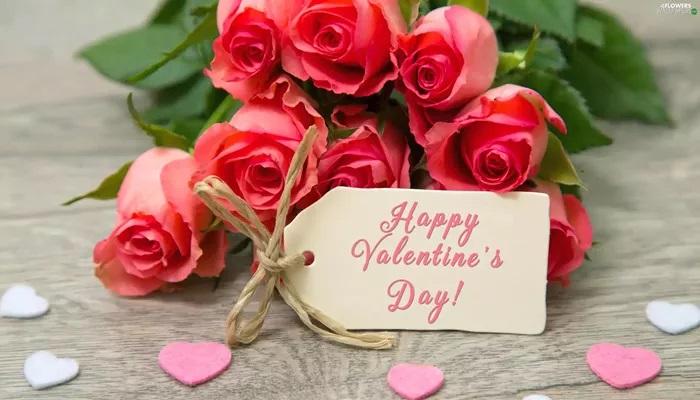 Sngine 2b4ed31194b7709baddb8222c1da5f87