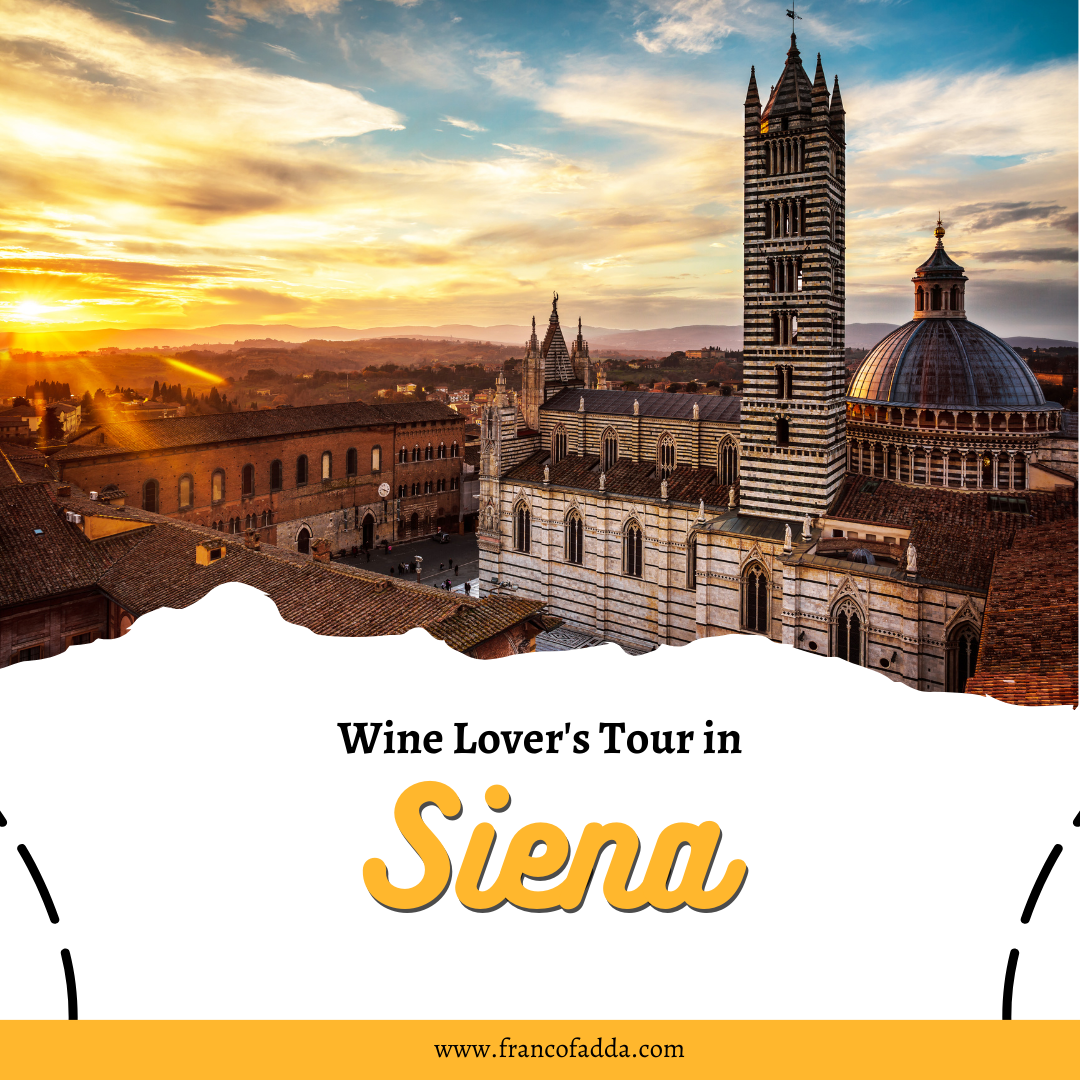 Sngine 4135ea41ab557082fac483f97c655713