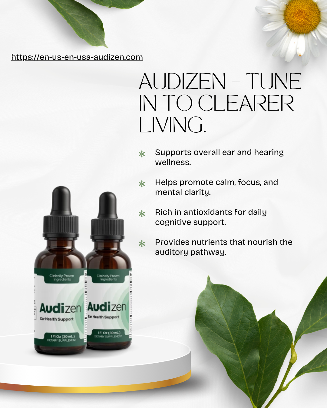 Sngine 41bb0ed797265dd3e4864dcf46e6c5bd