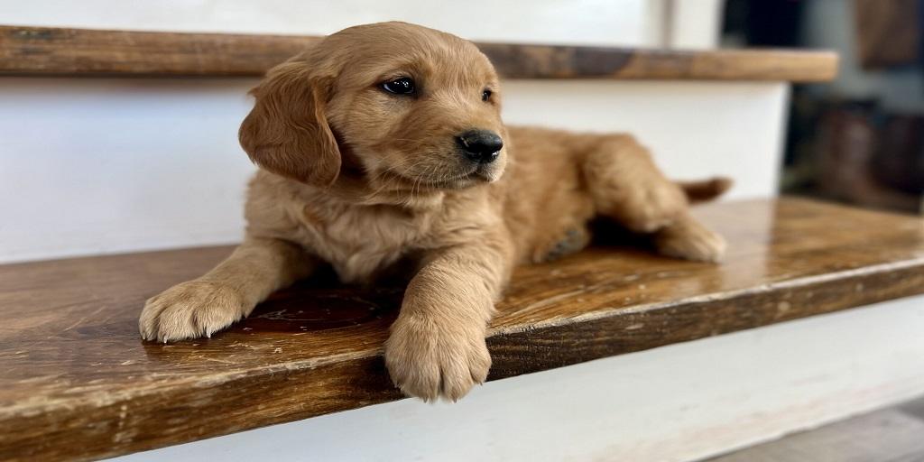 Sngine 44e9b8603feaf927c99be3c2840f736f