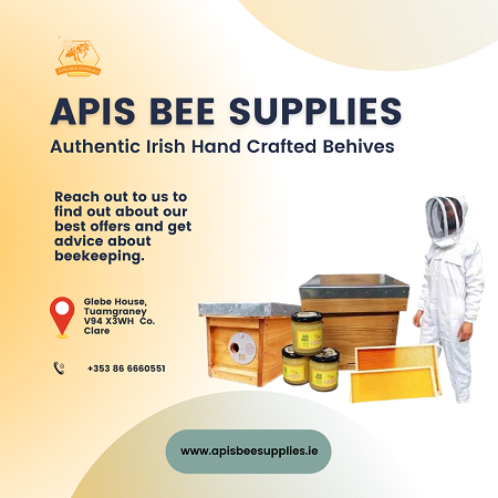 Sngine 6feae07eca21989a9cd694163773cc10