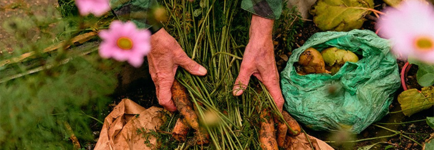 Sngine 84cb231612d4f7f47869efe84a412bf4