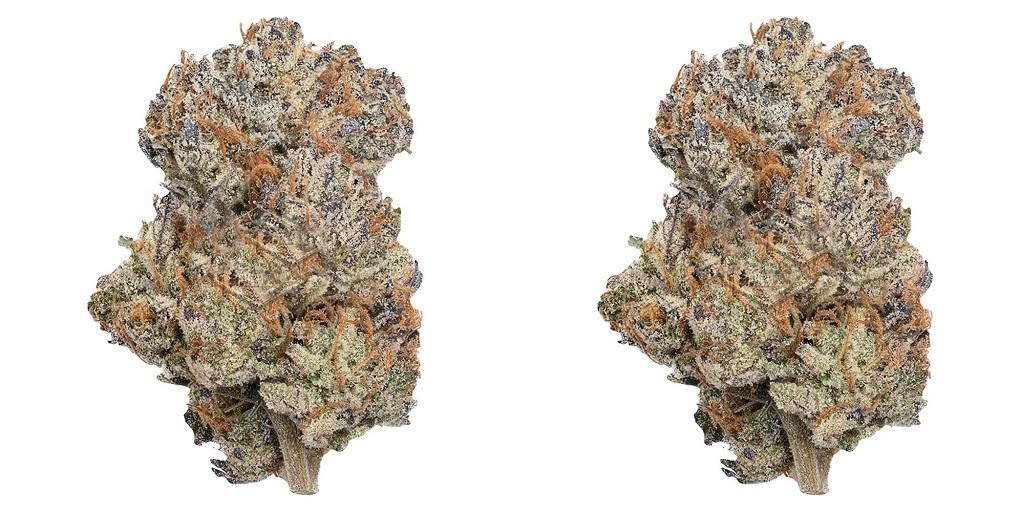 Sngine 87de28d079fc4f0328f8717d3f7cae7d