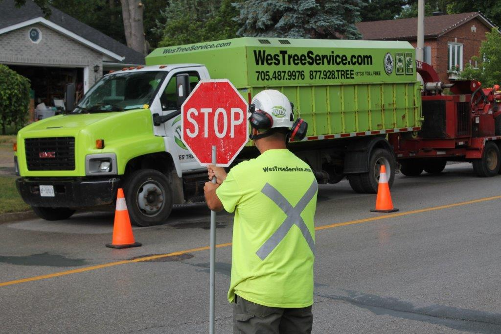 Sngine 97948510e81d09df4a15f853d923a31b