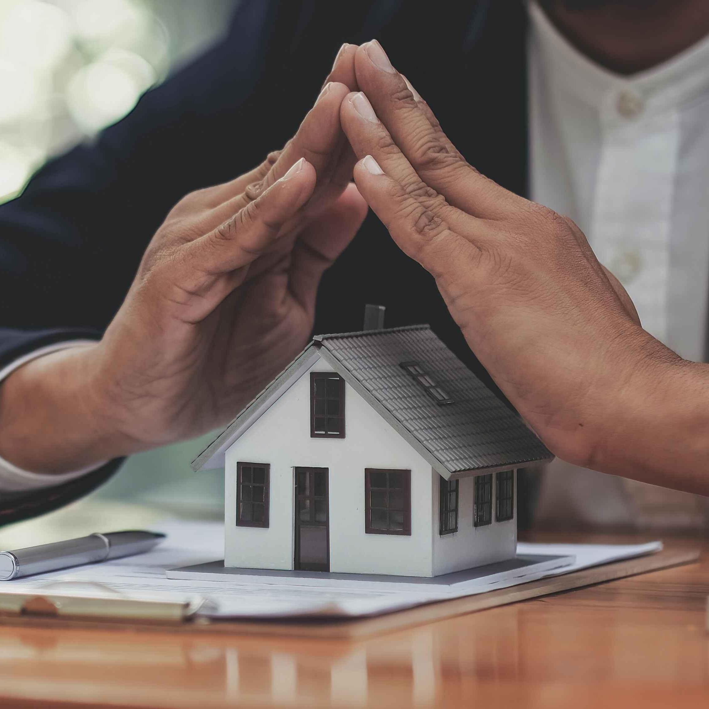 Legivista Endeavours