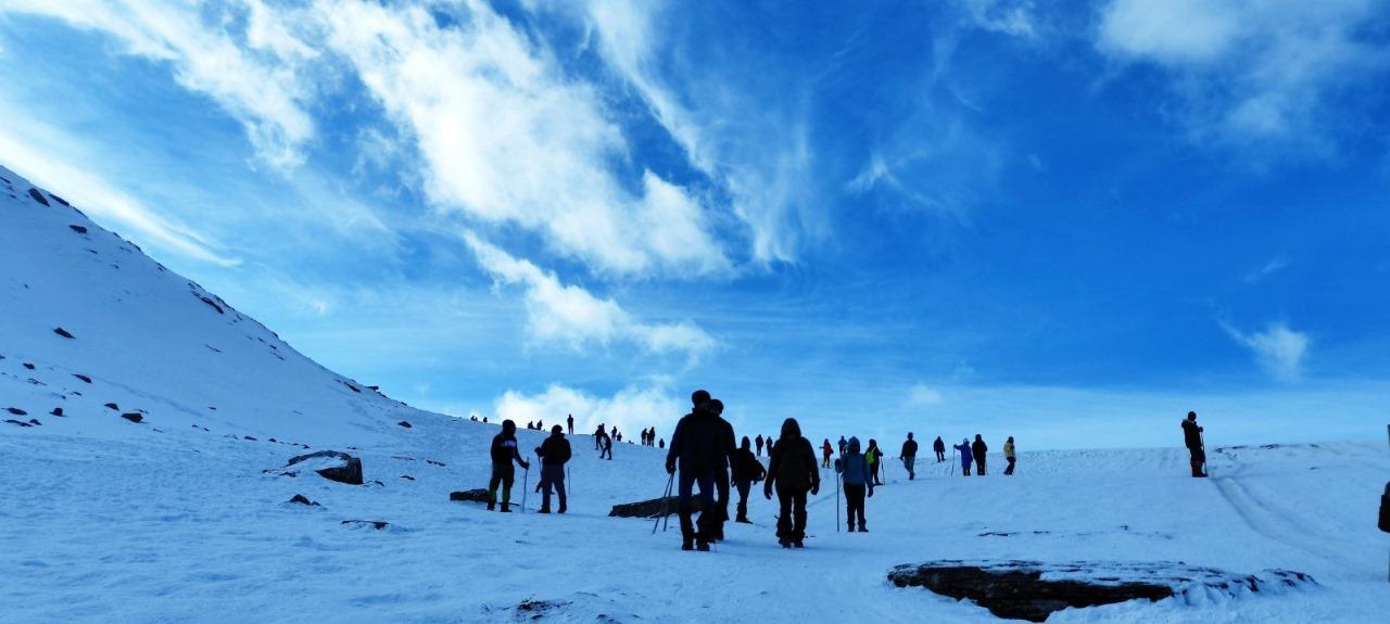 Sngine C2f2cf95d661f32608f4957c08031c90