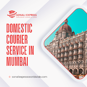 Sngine C8f3044fada8f9fc93a3fd2a16edcc45