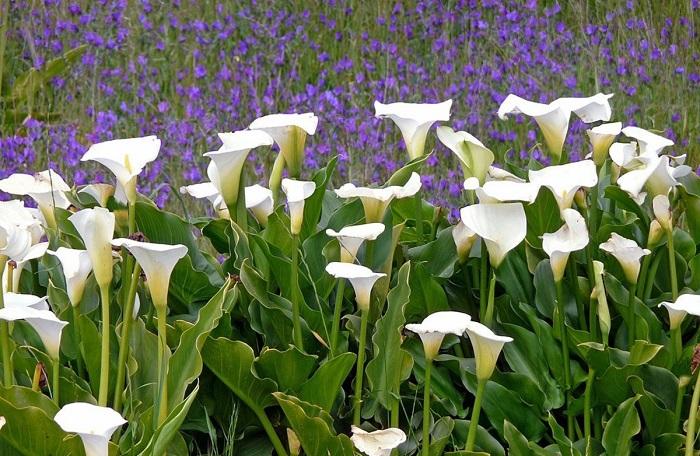 Sngine Cbc38b1d1ff93152e6809d94730a718c