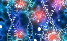 Sngine Dc785eafb73d7e413bec6ad4cc6a8981