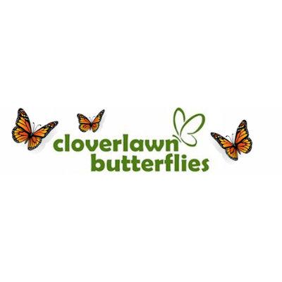 Cloverlawn  Butterflies