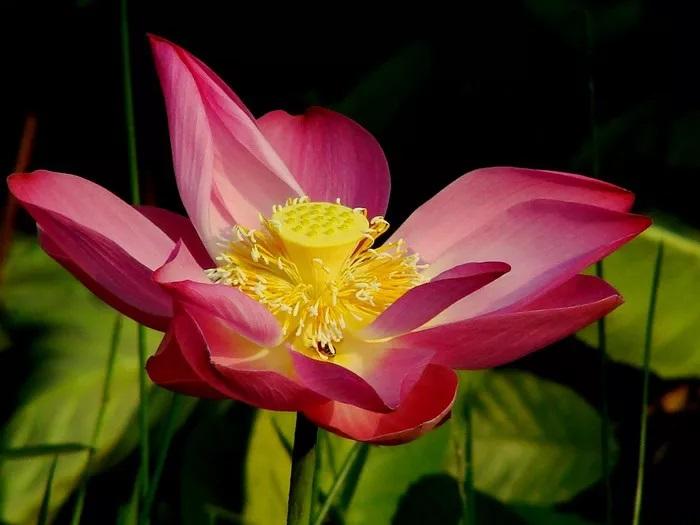 Sngine E12b8553dd36d689d8af55b639f8226d