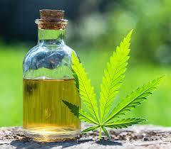 Sngine Ebc8f7d9af5c44cdbafc82bf6e2a0719