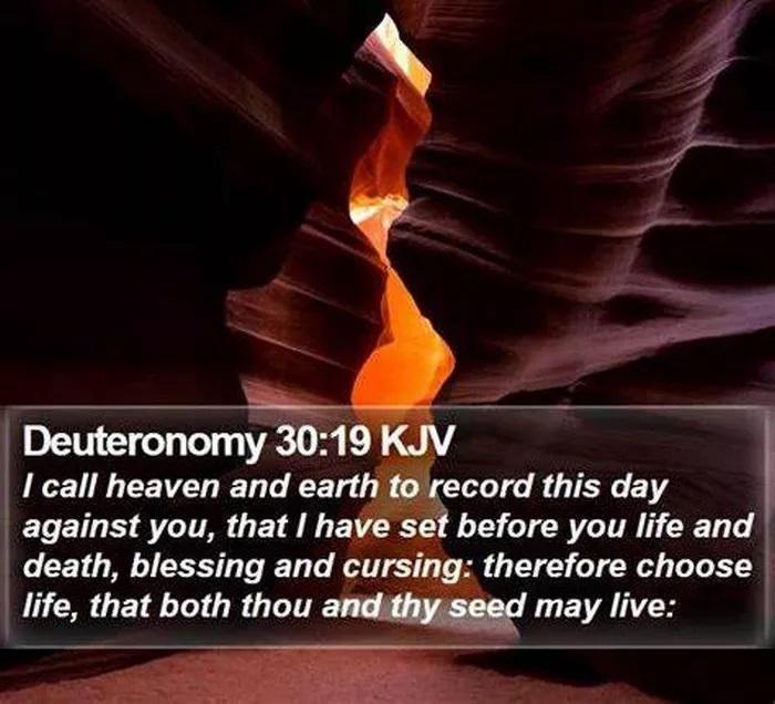 Sngine Edc1589c48a11ae01e1fda36fdf9e81d