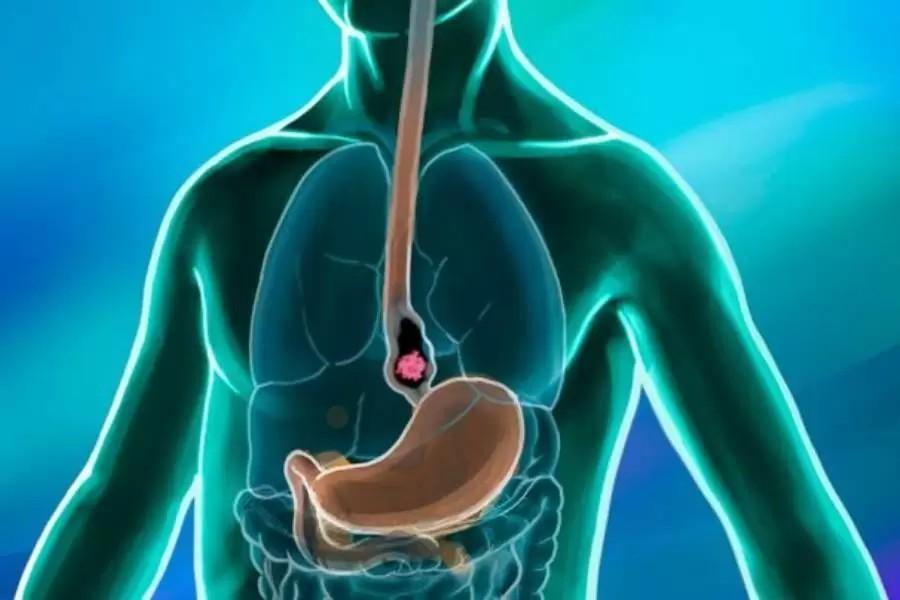 Sngine F5e5880ac3c30e0af3cf944654b4f9e9