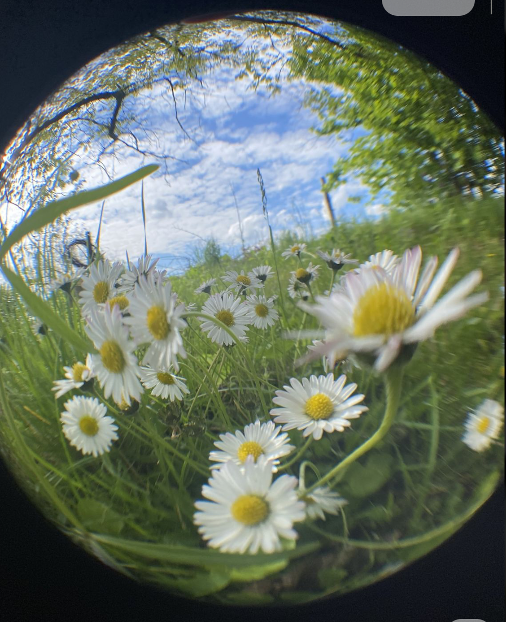 Sngine F5fa1a754e7e24a302b0b460a6bc63ce