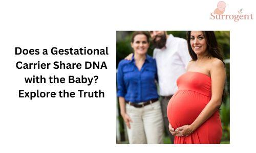 Sngine F715c35ba8398dc34a8e3f4a71917f2b