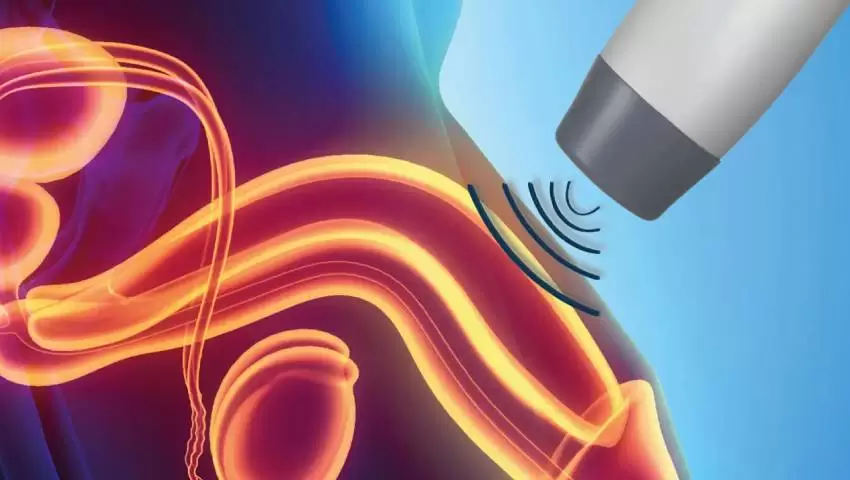 Sngine F9c05608130e9b0e87f915e003f199d7